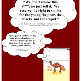 Camel Youth Poster