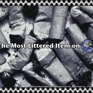 The most littered item on earth